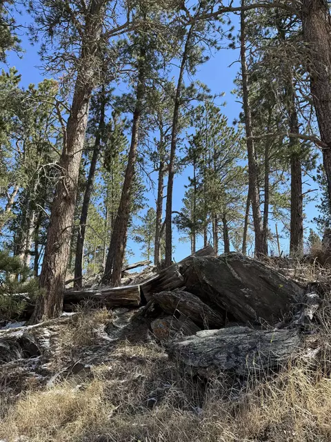 Tbd5 Danby Park Trail, Custer, SD 57730 photo 13