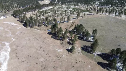 Tbd5 Danby Park Trail, Custer, SD 57730 photo 7