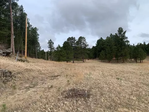 Tbd Buckhorn Estates Drive, Custer, SD 57730 photo 2