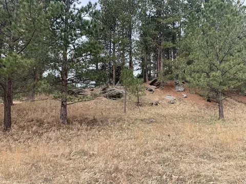 Tbd Buckhorn Estates Drive, Custer, SD 57730 photo 3