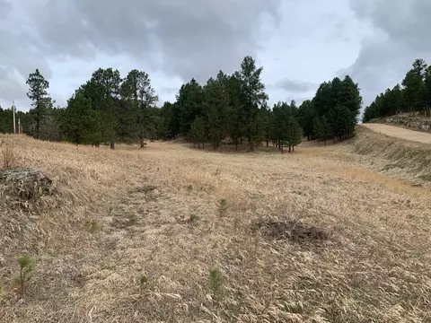 Tbd Buckhorn Estates Drive, Custer, SD 57730 photo 10