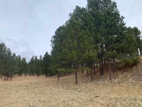 Tbd Buckhorn Estates Drive, Custer, SD 57730 photo 8