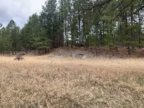 Tbd Buckhorn Estates Drive, Custer, SD 57730 photo 5