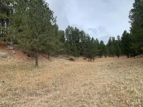 Tbd Buckhorn Estates Drive, Custer, SD 57730 photo 9