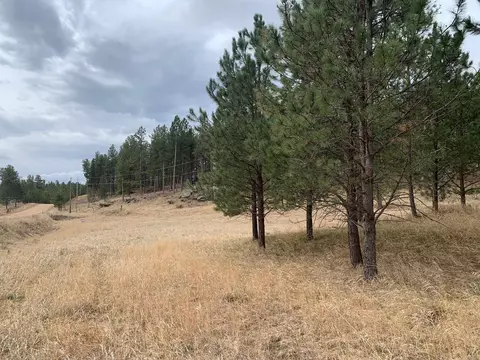 Tbd Buckhorn Estates Drive, Custer, SD 57730 photo 4