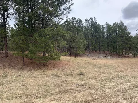 Tbd Buckhorn Estates Drive, Custer, SD 57730 photo 6