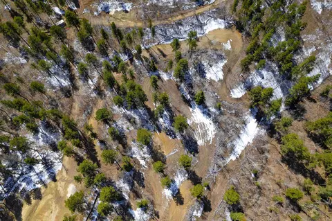 21121 Lost Irishman Rd, Lead, SD 57783 photo 11