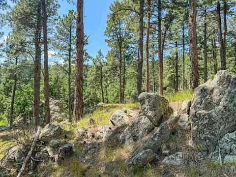 Tract Campfire Three Meadows Road, Keystone, SD 57751 photo 12