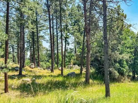 Tract Campfire Three Meadows Road, Keystone, SD 57751 photo 16