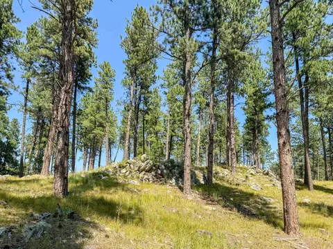 Tract Campfire Three Meadows Road, Keystone, SD 57751 photo 4