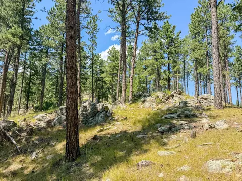 Tract Campfire Three Meadows Road, Keystone, SD 57751 photo 15