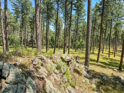 Tract Campfire Three Meadows Road, Keystone, SD 57751 photo 9