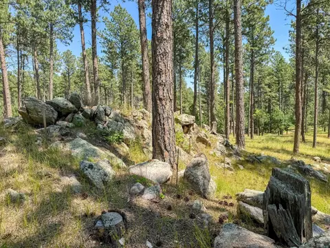 Tract Campfire Three Meadows Road, Keystone, SD 57751 photo 7