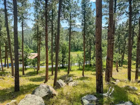 Tract Campfire Three Meadows Road, Keystone, SD 57751 photo 8