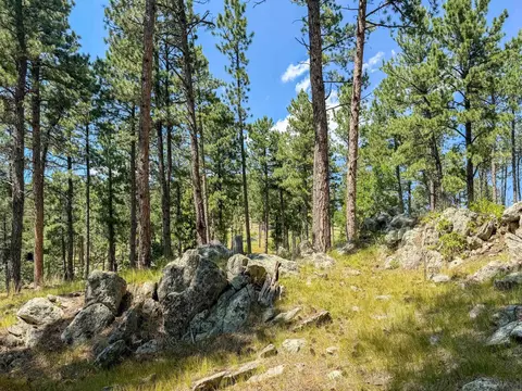 Tract Campfire Three Meadows Road, Keystone, SD 57751 photo 13