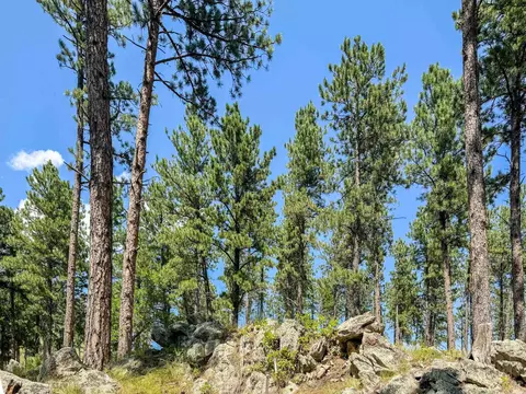 Tract Campfire Three Meadows Road, Keystone, SD 57751 photo 10