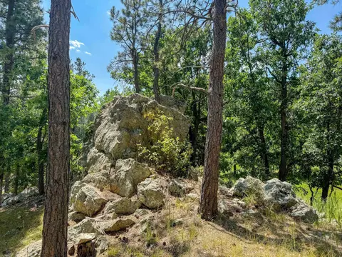 Tract Campfire Three Meadows Road, Keystone, SD 57751 photo 5