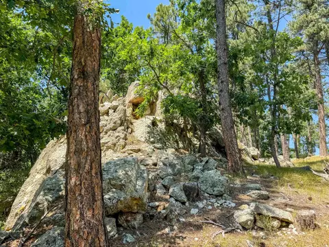 Tract Campfire Three Meadows Road, Keystone, SD 57751 photo 3
