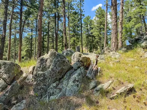 Tract Campfire Three Meadows Road, Keystone, SD 57751 photo 11