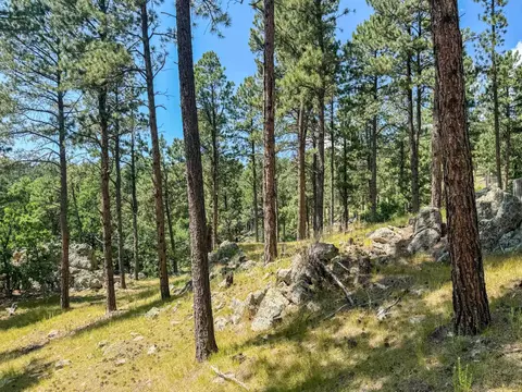 Tract Campfire Three Meadows Road, Keystone, SD 57751 photo 14