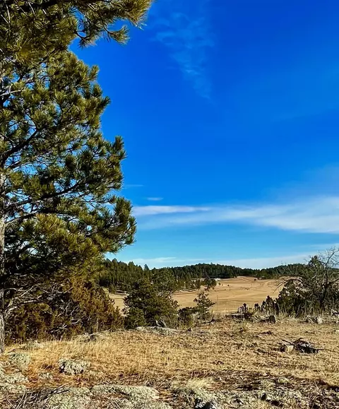 tbd Ghost Canyon Rd, Hermosa, SD 57744 photo 3