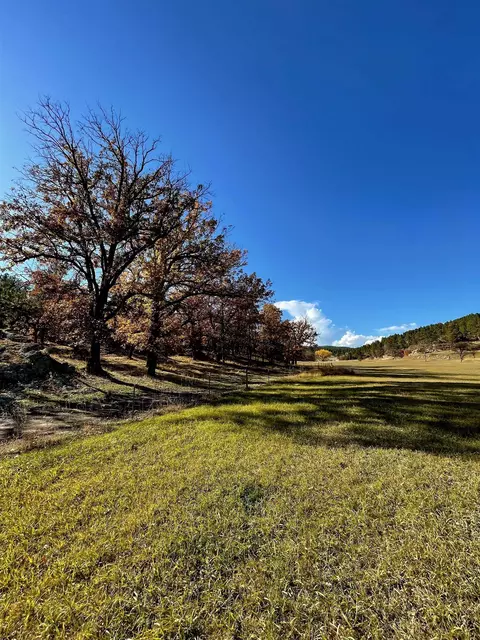 tbd Ghost Canyon Rd, Hermosa, SD 57744 photo 8