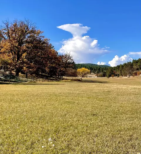 tbd Ghost Canyon Rd, Hermosa, SD 57744 photo 6