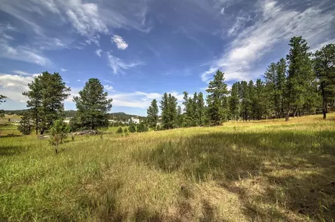 12236 Buffalo Rdg, Custer, SD 57730 photo 4