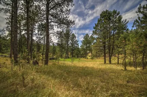 12236 Buffalo Rdg, Custer, SD 57730 photo 16