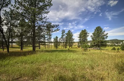 12236 Buffalo Rdg, Custer, SD 57730 photo 6