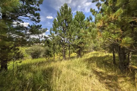 12236 Buffalo Rdg, Custer, SD 57730 photo 8