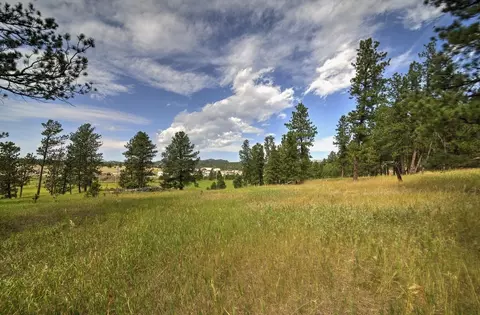 12236 Buffalo Rdg, Custer, SD 57730 photo 13