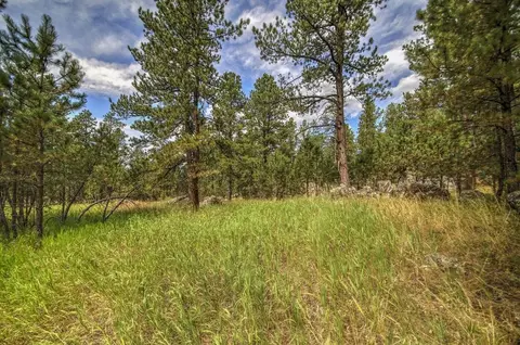 12236 Buffalo Rdg, Custer, SD 57730 photo 14