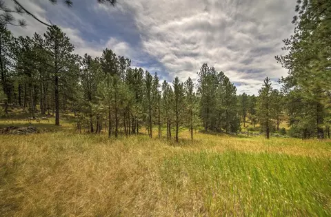 12236 Buffalo Rdg, Custer, SD 57730 photo 15