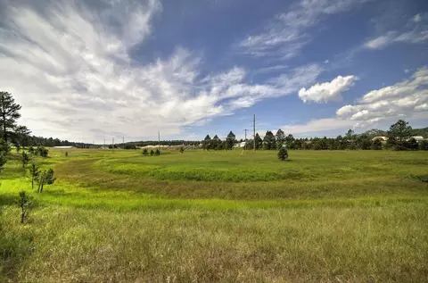 12236 Buffalo Rdg, Custer, SD 57730 photo 12