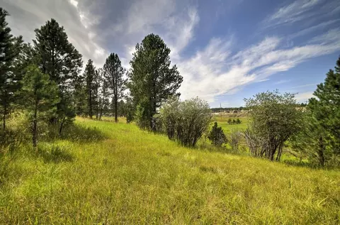 12236 Buffalo Rdg, Custer, SD 57730 photo 10