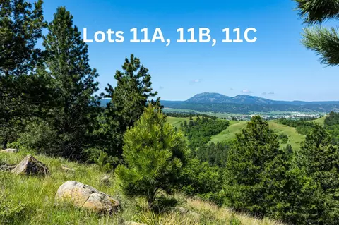 Tract 11b Lookout Vista Road, Spearfish, SD 57783