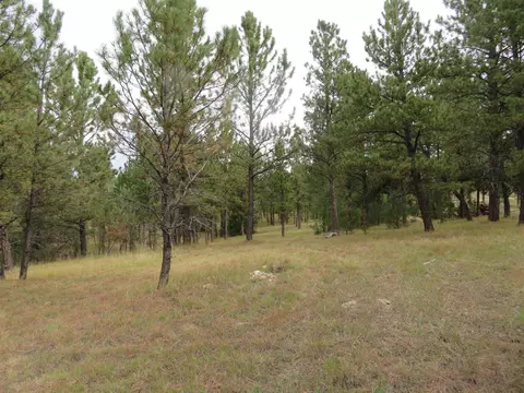 tbd Lot 34b Hombre Trl, Custer, SD 57730 photo 17