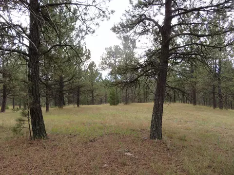 tbd Lot 34b Hombre Trl, Custer, SD 57730 photo 13