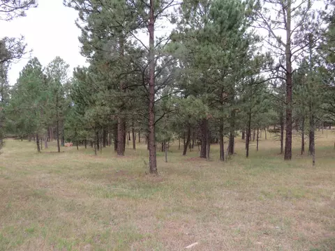 tbd Lot 34b Hombre Trl, Custer, SD 57730 photo 6