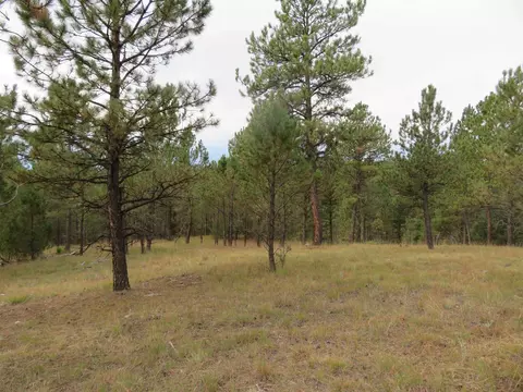 tbd Lot 34b Hombre Trl, Custer, SD 57730 photo 16