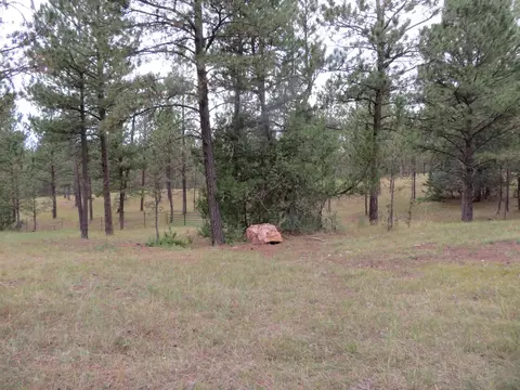 tbd Lot 34b Hombre Trl, Custer, SD 57730 photo 8