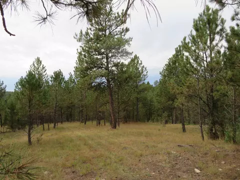 tbd Lot 34b Hombre Trl, Custer, SD 57730