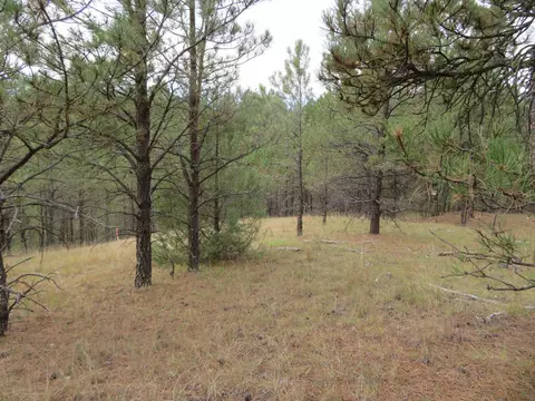 tbd Lot 34b Hombre Trl, Custer, SD 57730 photo 15