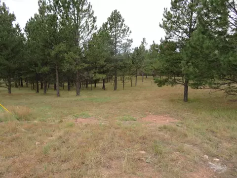 tbd Lot 34b Hombre Trl, Custer, SD 57730 photo 5