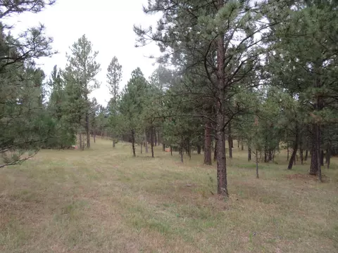 tbd Lot 34b Hombre Trl, Custer, SD 57730 photo 7