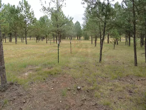 tbd Lot 34b Hombre Trl, Custer, SD 57730 photo 3