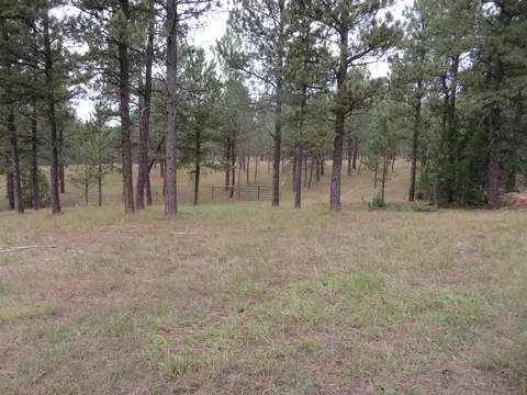 tbd Lot 34b Hombre Trl, Custer, SD 57730 photo 9
