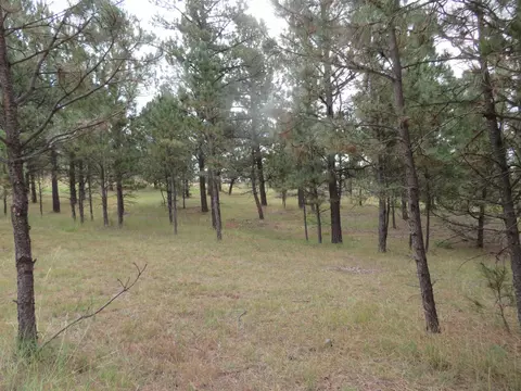 tbd Lot 34b Hombre Trl, Custer, SD 57730 photo 4