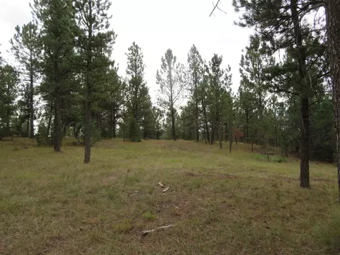 tbd Lot 34b Hombre Trl, Custer, SD 57730 photo 11